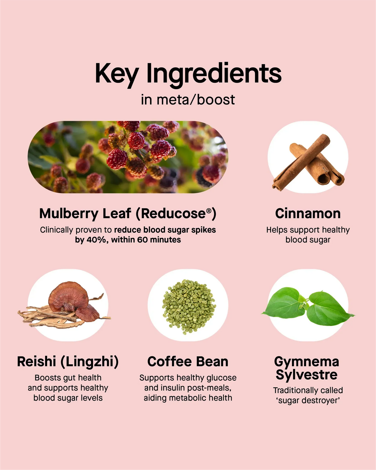 Detox Bundle
